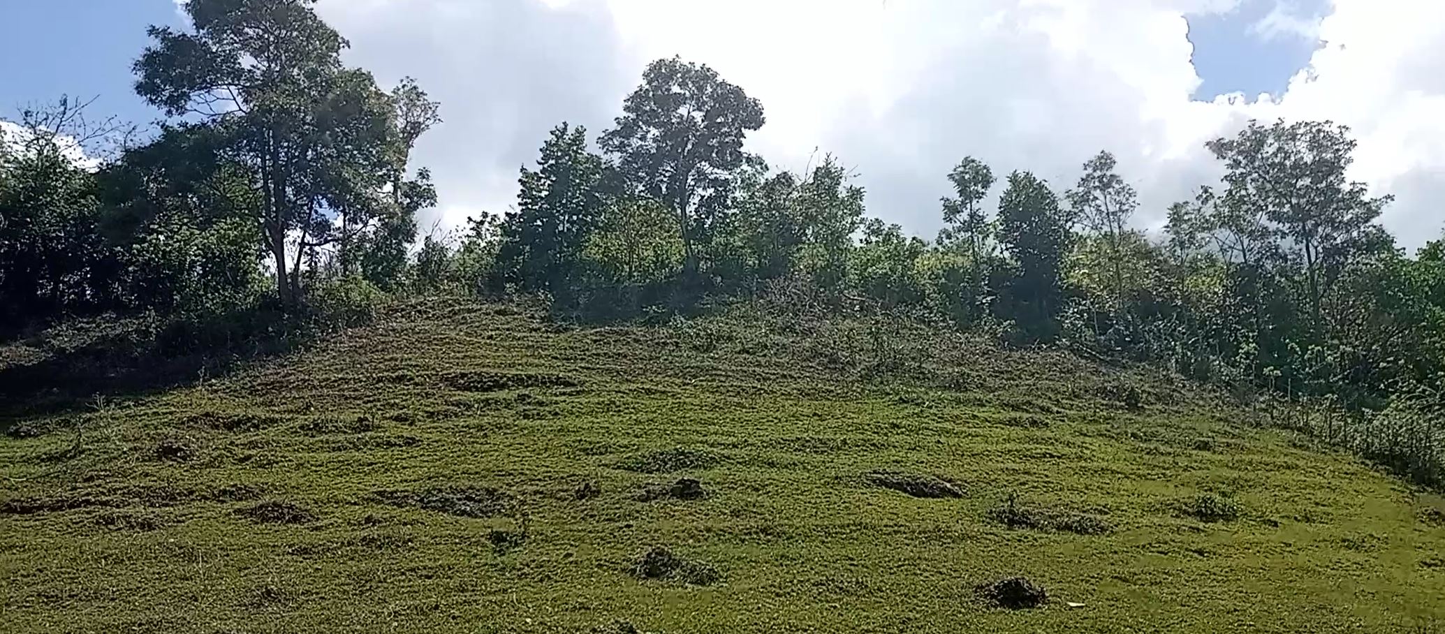 Proyecto Pastor Nene